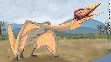 Flying 'Dragón de la muerte'  es el pterosaurio más grande descubierto en América del Sur