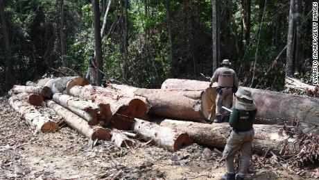 Autoridades do estado do Pará, no norte do Brasil, inspecionam uma área desmatada em setembro. 