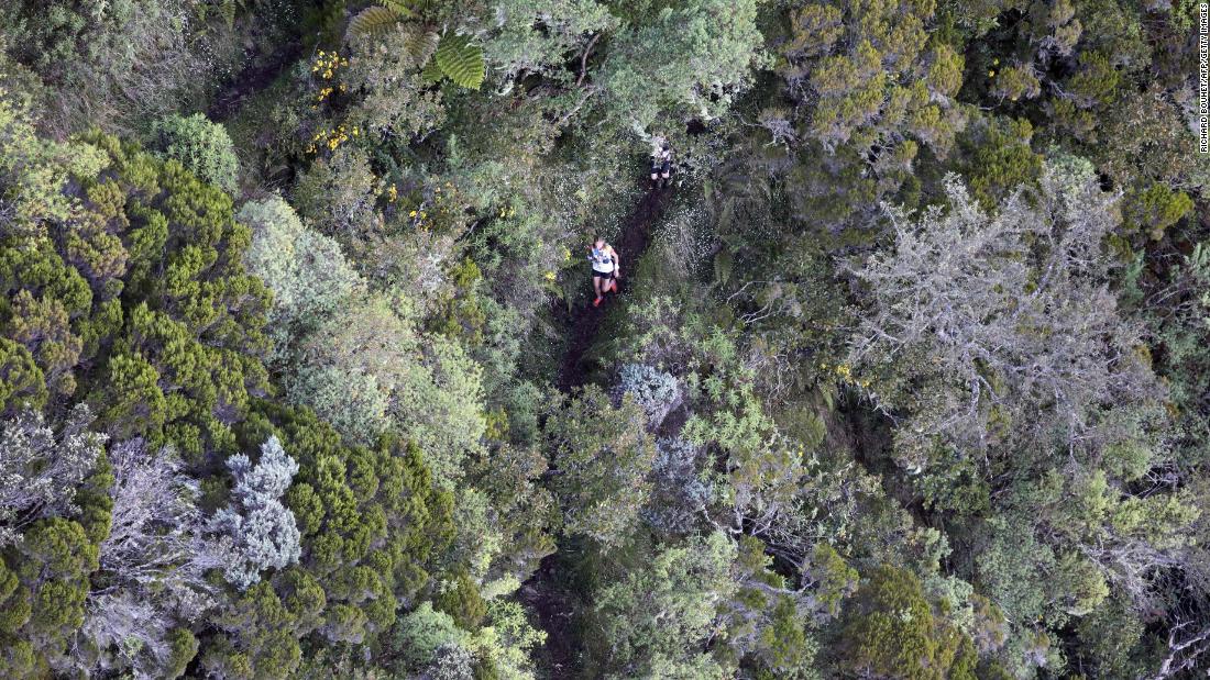 &lt;strong&gt;La Reunion island: &lt;/strong&gt;More dense forest awaits runners (such as this competitor in 2019) in the Grand Raid de la Reunion ultramarathon race, on the island of La Reunion in the Indian Ocean.