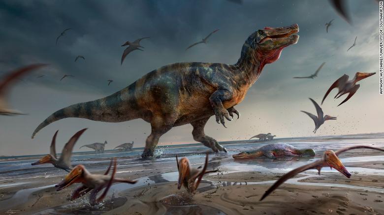Scientists unearth remains of one of Europe’s biggest predatory dinosaurs
