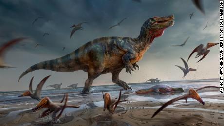 Scientists unearth remains of one of Europe&#39;s biggest predatory dinosaurs