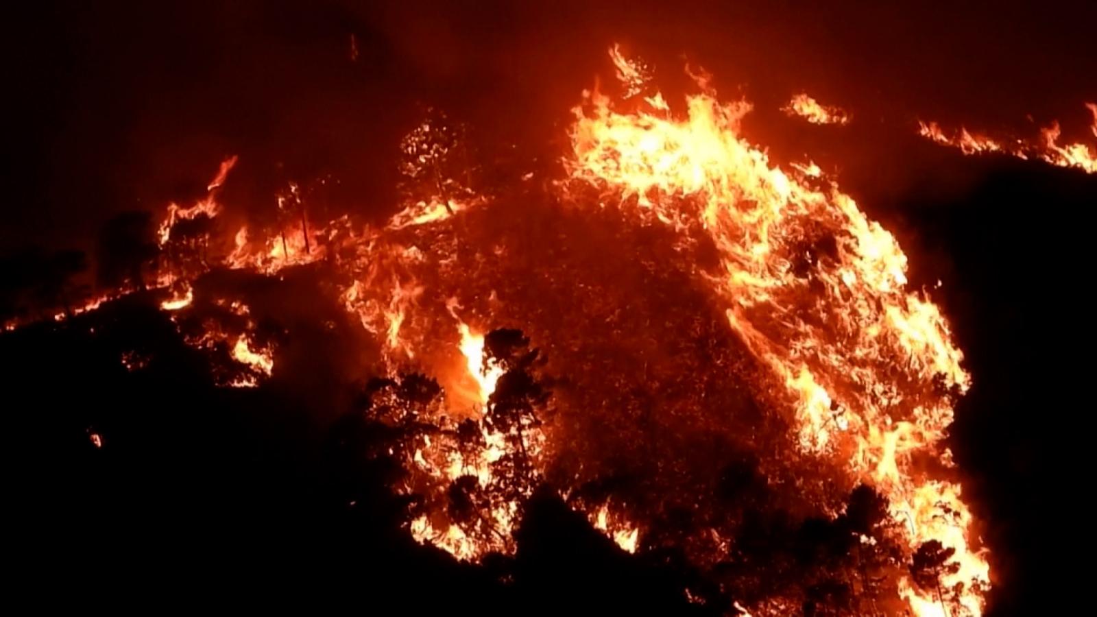 Impactantes imágenes muestran los incendios forestales en el sur de ...