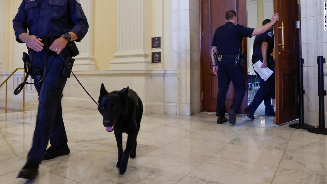 Capitol Police officers participate in a routine security sweep on June 9.