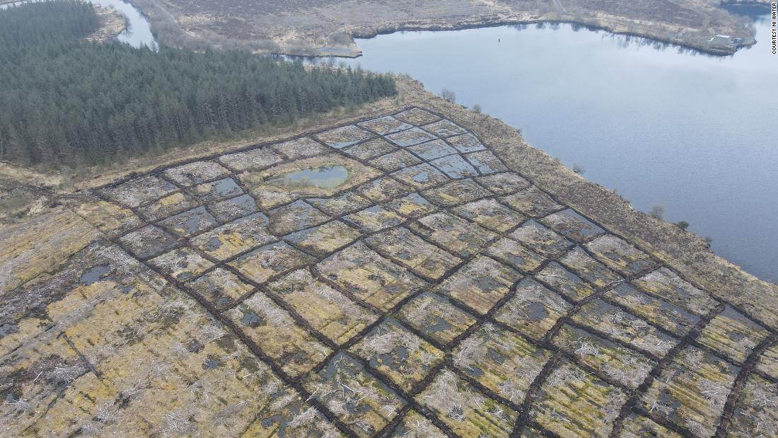 Northern Ireland Water hopes that water running into the lake will be filtered through the restored peatland. &quot;It&#39;s going to take a bit of time for the sphagnum mosses and everything to colonize, but the process is now underway,&quot; says Foster.