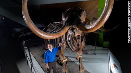 Michigan Üniversitesi paleontologu Daniel Fisher, Buesching mastodonuna monte edilmiş bir iskeletle duruyor.  Fotoğraf Eric Bronson, Michigan Photography.