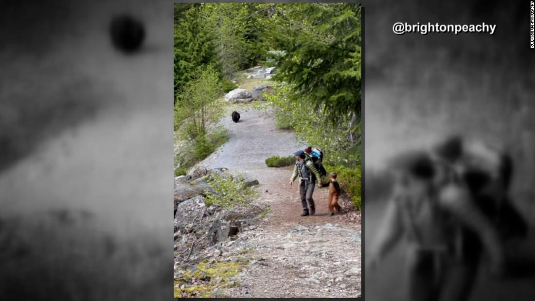 Watch: Black bear follows family for 20 minutes during hike – CNN Video