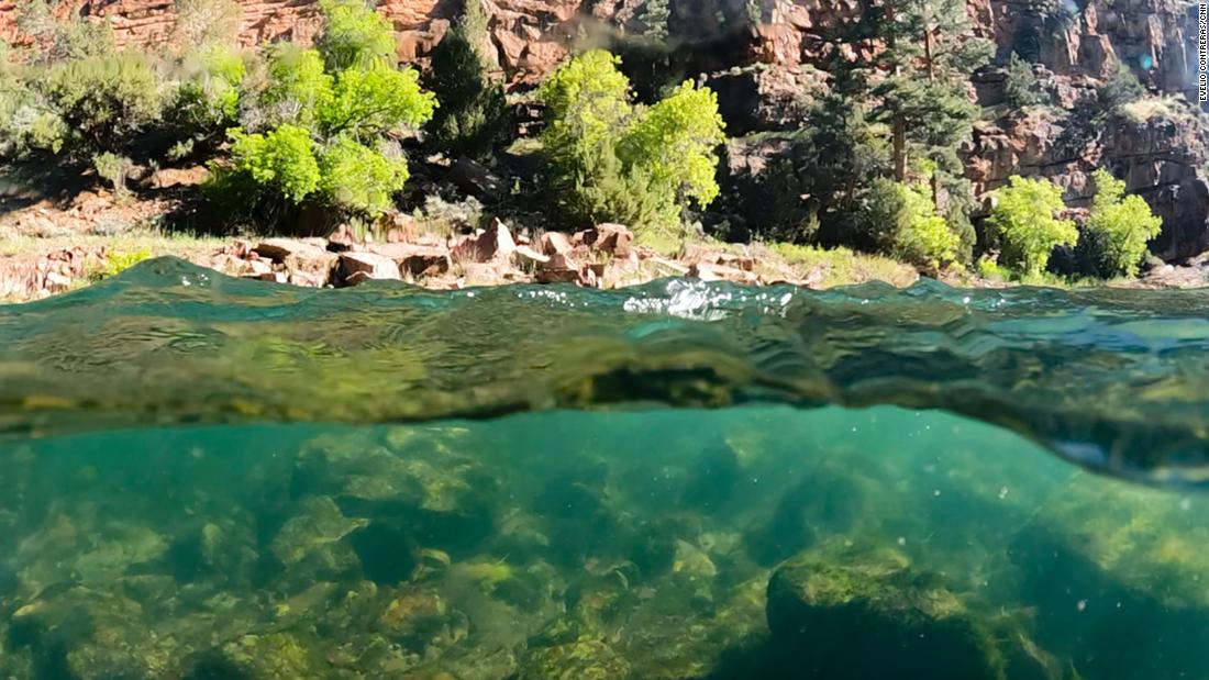 The reservoir&#39;s temperature-controlled output greats a Goldilocks zone for hatching insects and trout.