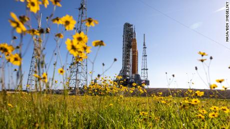 NASA&#39;s Artemis I moon rocket is surrounded by wildlflowers at the launchpad on June 6. 
