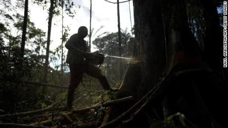A man uses a chainsaw to clear trees in order to plant coca in the Guaviare department of Colombia.