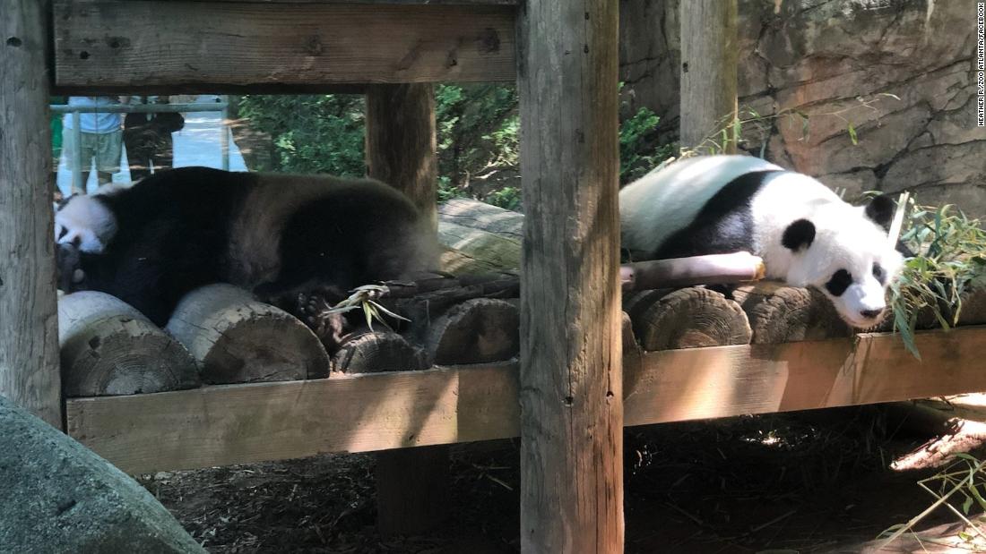 Zoo Atlanta closing early because of extreme heat