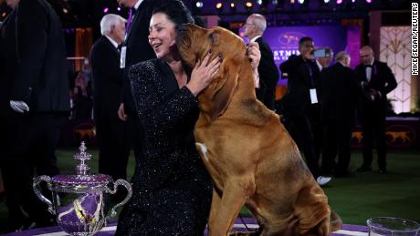 Trumpet, a Bloodhound, kisses his handler Heather Helmer after winning &quot;Best in Show&quot; at the 146th Westminster Kennel Club Dog Show at the Lyndhurst Estate in Tarrytown, New York, U.S., June 22, 2022. 