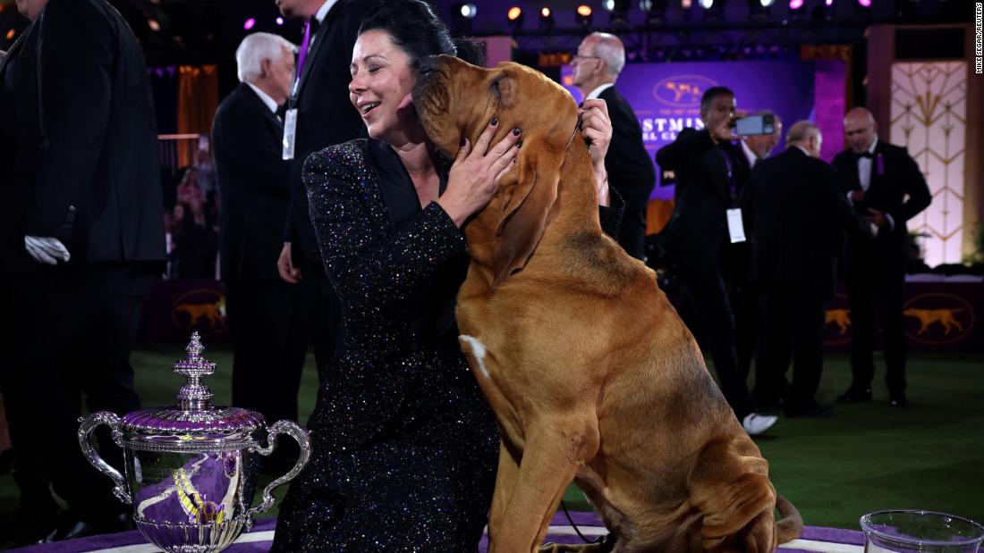 Trumpet, a bloodhound, kisses his handler Heather Helmer after winning Best in Show at the 146th Westminster Kennel Club Dog Show at the Lyndhurst Estate in Tarrytown, New York, on Wednesday, June 22.