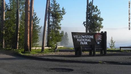 A man suffered an injury to his arm after being gored by a bull bison in Yellowstone National Park in Wyoming.