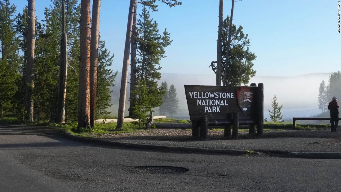 A bull bison gored a man near Old Faithful at Yellowstone National Park officials say – CNN