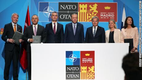 How Erdogan's Turkey became the mainstay of NATO 