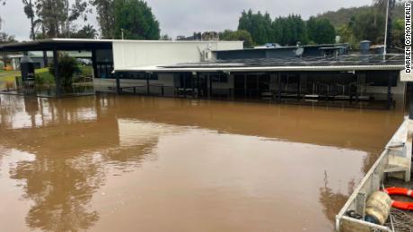 Darren Osmotherly&#39;s Paradise Café in Lower Portland, NSW, has flooded four times in 18 months.