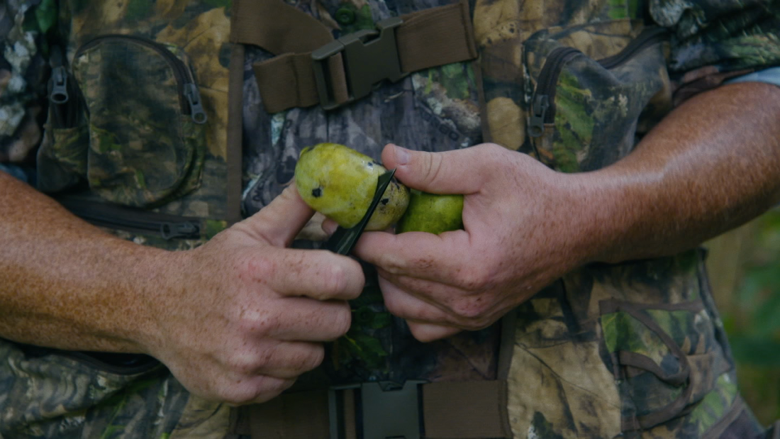 This indigenous fruit tastes like an avocado full of sugar – CNN Video