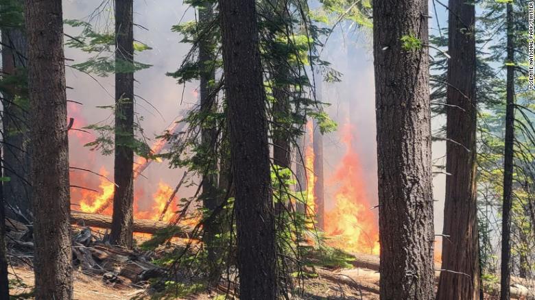 Evacuation orders issued as fire threatens Yosemite’s Mariposa Grove, home to more than 500 giant sequoia trees