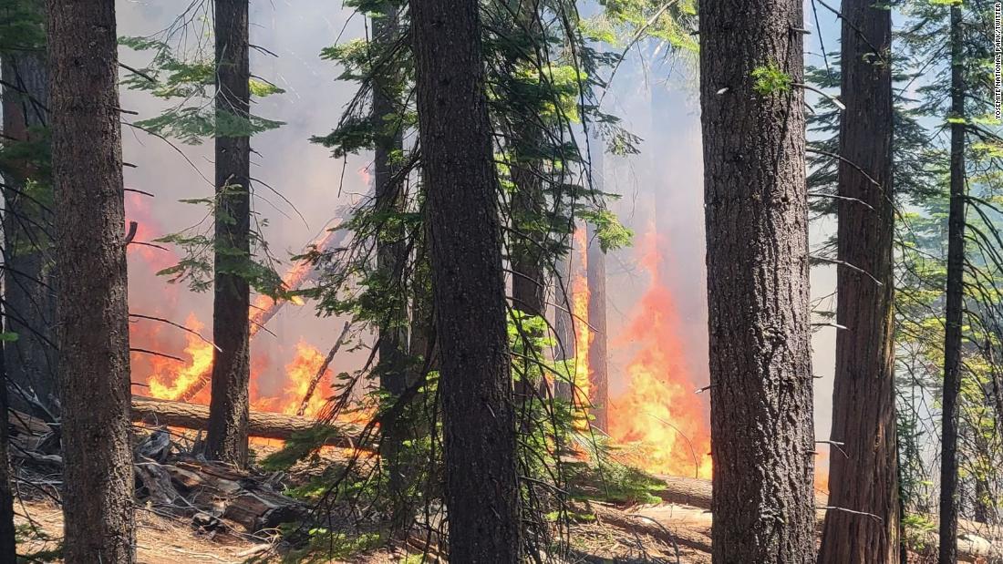 Fire threatens Yosemite’s Mariposa Grove home to more than 500 giant sequoia trees – CNN
