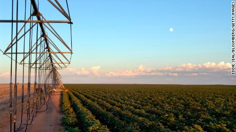 Cotton crop and irrigation system near Farwell, Texas.