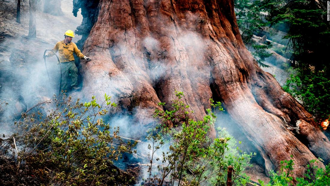 Fire threatening Yosemite’s famed grove of giant sequoia trees is still growing – CNN