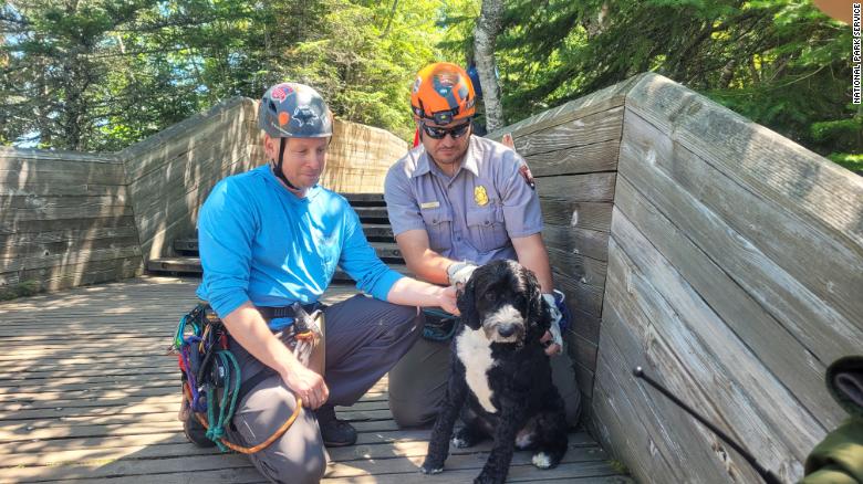 Dog visiting the Pictured Rocks National Lakeshore in Michigan rescued after falling nearly 30 feet down a cliff, park officials say