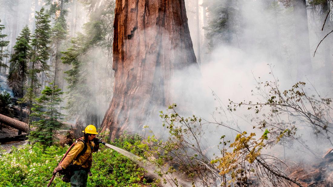 Fire crews aim to protect Yosemite's renowned sequoias as blaze grows