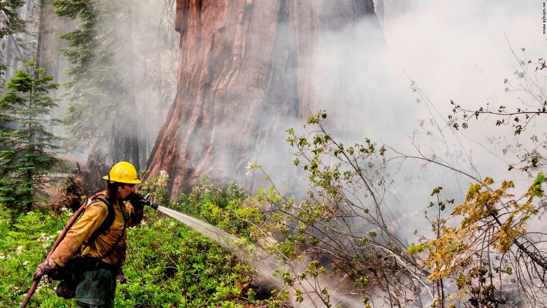 Fire crews use proactive measures to protect Yosemite's renowned sequoias as blaze grows