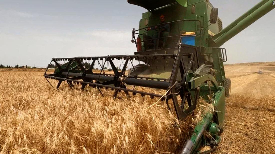 Tunisian food crisis worsens as Russia holds grip on Ukrainian grain exports