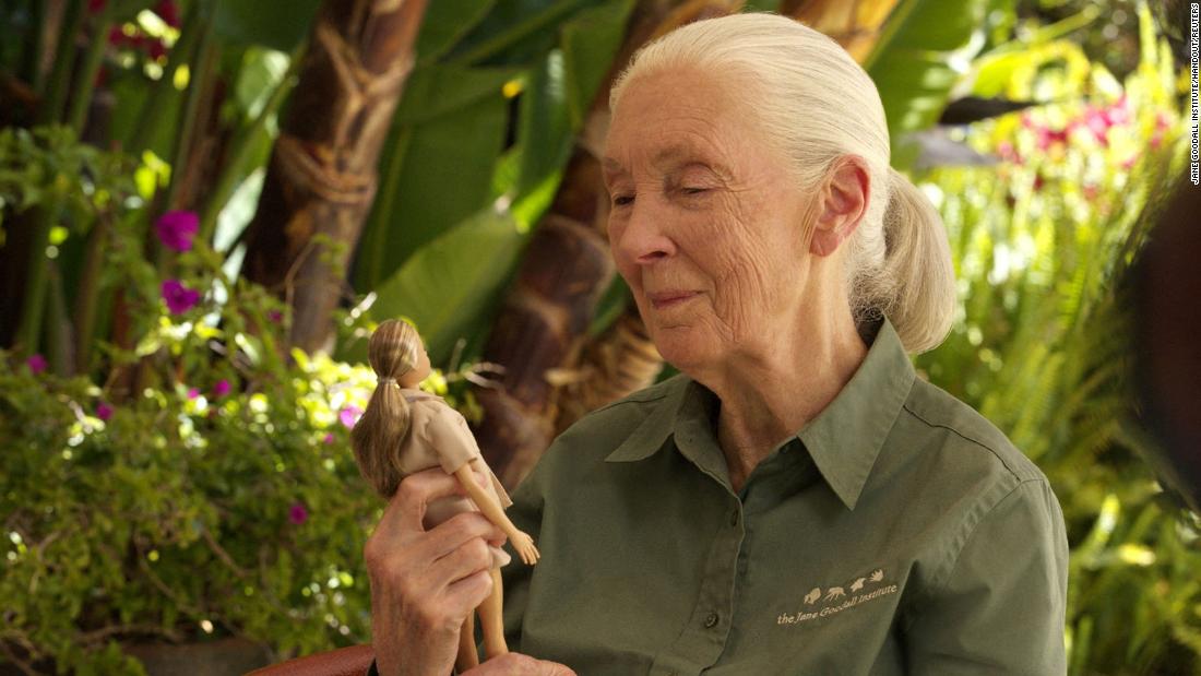 jane goodall barbie doll