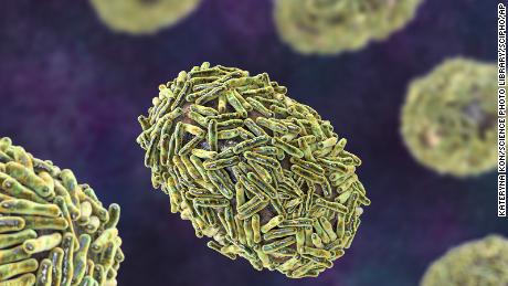 L'OMS a déclaré la variole du singe une urgence de santé publique de portée internationale