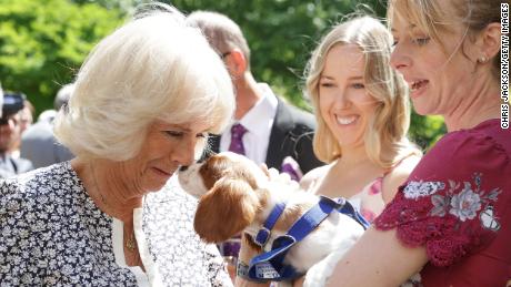 Camilla meets Mala Breeze and her dog Flora during a reception for the 160th Anniversary of the Battersea Dogs and Cats Home at Clarence House in London on July 14, 2022. 