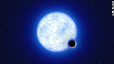 Wrażenie tego artysty pokazuje, jak może wyglądać układ podwójny VFTS 243. Nie można zmierzyć wielkości dwóch składników podwójnych: w rzeczywistości niebieska gwiazda jest około 200 000 razy większa niż czarna dziura.  