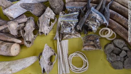 Animal skulls and bones, including pangolin scales and tiger claws, displayed during a press conference in Port Klang, Malaysia, on July 18.