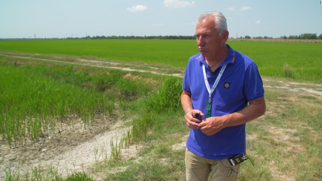 Italian authorities: '70% of crops are gone' in Po River Delta