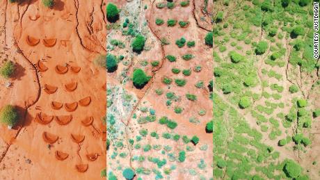 The surprisingly simple technique that can turn deserts green