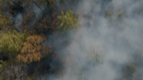 Native Americans have a secret to managing wildfires
