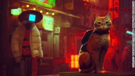 We played 'Stray,' everyone's favorite new cat-centric video game. It's purrfection 