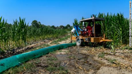A pump irrigating a cornfield in Carmagnola, Italy, Thursday, July 21.  As drier than usual conditions and an early summer heat wave wreak havoc on agriculture and electricity supplies, the Italian government was forced earlier in July to declare a state of emergency. emergency in five regions. 