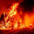 01 california oak fire 072222