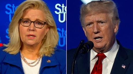 Liz Cheney responds to Trump&#39;s efforts to defeat her