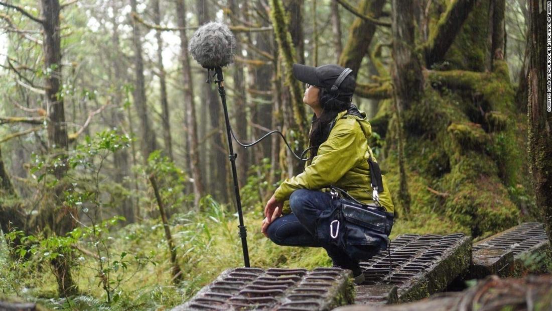 Taiwan unveils world’s first ‘certified quiet trail’
