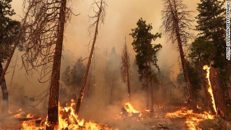 The Oak Fire burns through trees Sunday near Jerseydale, California.