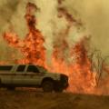 01 oak fire california gallery