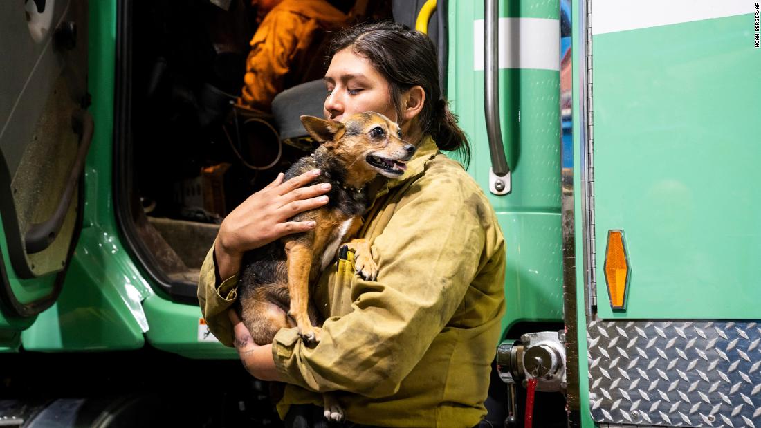 Firefighter Joanna Jimenez holds a dog she found wandering in an evacuation zone on Saturday.