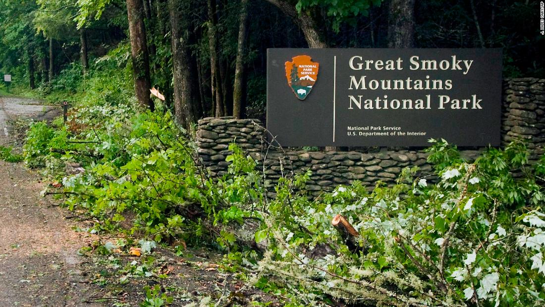 A 7-year-old girl was killed while camping with family after a tree fell on their tent in Great Smoky Mountains National Park