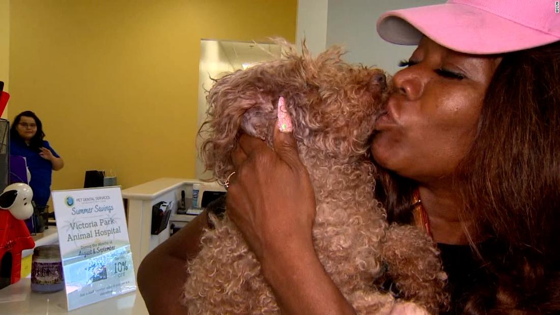 ‘People thought I was joking’: Woman describes 16-hour ordeal to free stuck poodle – CNN Video