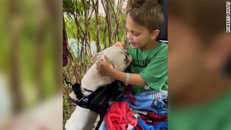 Cooper Roberts, 8, was able to visit with his dog, George, a month after he was shot at the July 4 parade in Highland Park, Illinois.