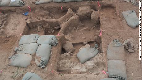 Místo vykopávek obsahovalo zlomené kosti z mamutovy lebky, páteře a žeber.