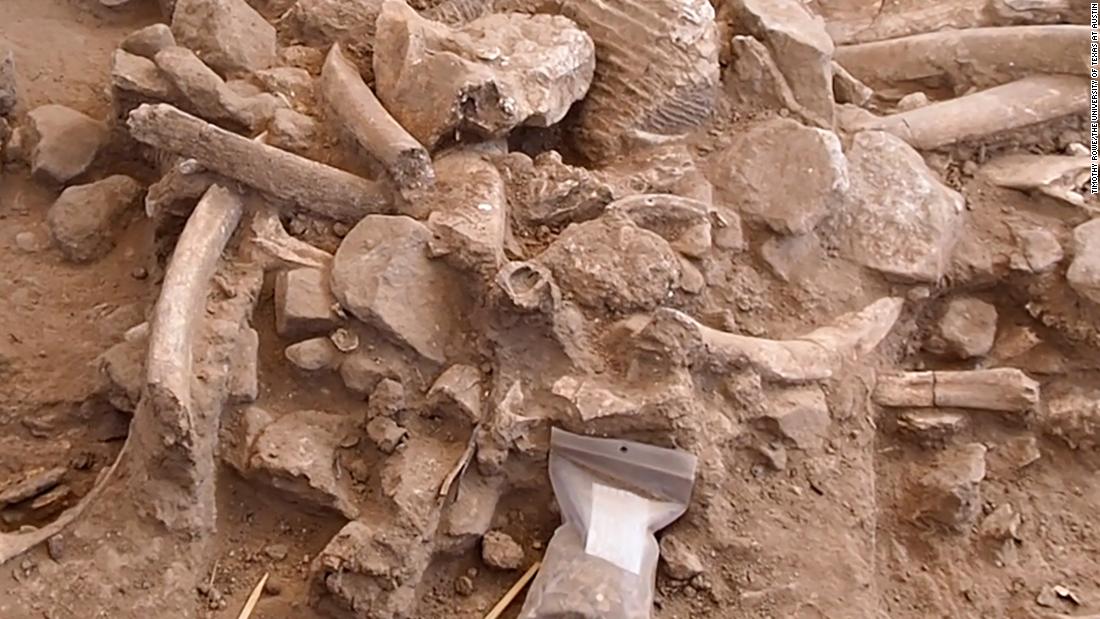 Huesos de mamut muestran evidencia de los primeros humanos norteamericanos